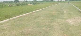  Plot For Resale in Sultanpur Road Lucknow 6032756