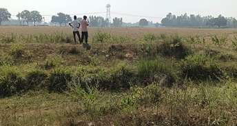 Commercial Land 27000 Sq.Ft. For Resale In Gomti Nagar Lucknow 6032936