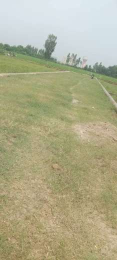  Plot For Resale in Sultanpur Road Lucknow 6033014