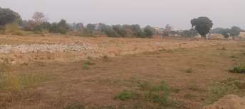 Plot For Resale in Bhanauta Greater Noida  6034232