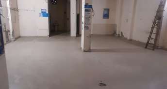Commercial Showroom 1630 Sq.Ft. For Rent In Bhatti Gate Jhajjar 6037207