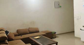3 BHK Apartment For Resale in Sg Oasis Vasundhara Sector 2b Ghaziabad 6037247