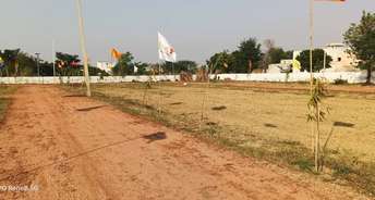  Plot For Resale in Sector 105 Faridabad 6037289