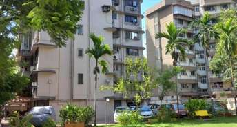 2 BHK Apartment For Resale in Blue Bird Pali Hill Mumbai 6038272