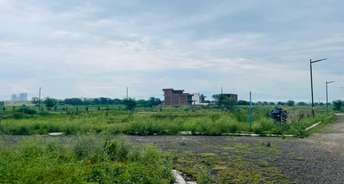  Plot For Resale in Mullanpur Chandigarh 6038616