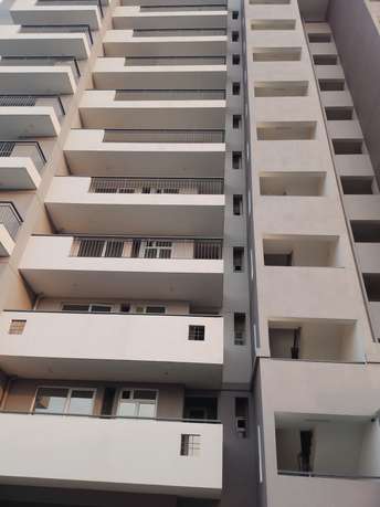 3 BHK Apartment For Resale in Corona Optus Sector 37c Gurgaon 6038753