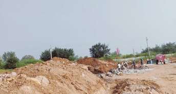  Plot For Resale in Sangareddy Hyderabad 6038846
