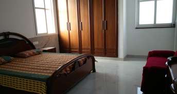 1 BHK Builder Floor For Rent in RWA Kalkaji Block J & N Kalkaji Delhi 6041607
