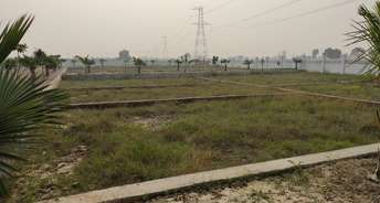  Plot For Resale in Dadha Greater Noida 6042468