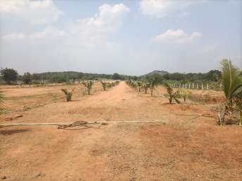  Plot For Resale in Yacharam Hyderabad 6045078
