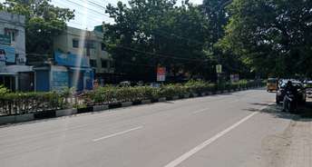 Commercial Land 12600 Sq.Ft. For Resale In Adyar Chennai 6045130