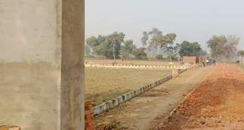  Plot For Resale in Sultanpur Road Lucknow 6045187