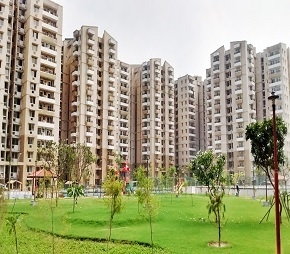 3 BHK Apartment For Resale in Stellar Jeevan Noida Ext Sector 1 Greater Noida  6046141