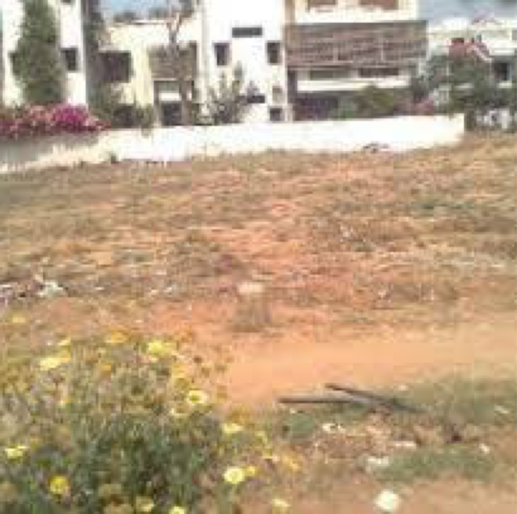 502 Sq.Yd. Plot in Dlf Phase I Gurgaon