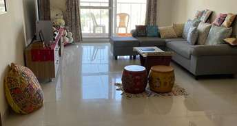 3 BHK Apartment For Rent in Salarpuria Sattva Cadenza Kudlu Gate Bangalore 6048181