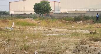 Commercial Land 5000 Sq.Ft. For Resale In Sector 140 Noida 6048705