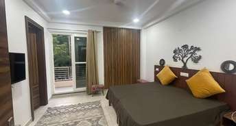 2 BHK Apartment For Rent in DSK Gold Leaf Baner Pune 6048998