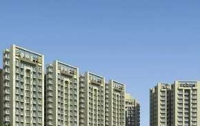 3 BHK Apartment For Resale in Satya The Hermitage Sector 103 Gurgaon 6049054