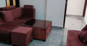 1 BHK Builder Floor For Rent in Indira Enclave Neb Sarai Neb Sarai Delhi 6050183