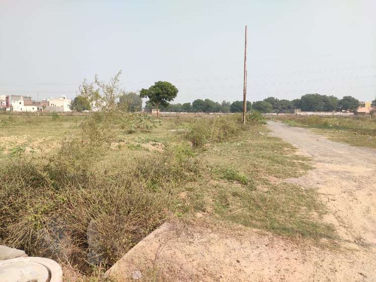 Sector 130, Wajidpur