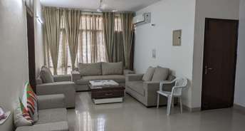 4 BHK Builder Floor For Resale in Ardee City Sector 52 Gurgaon 6052961