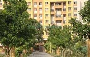 2 BHK Apartment For Resale in Raviraj Yellow Blossoms Ghorpadi Pune 6052972