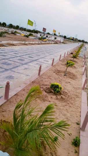 Plot For Resale in Ajmer Road Jaipur  6053438