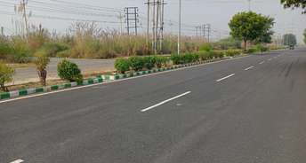 Commercial Land 90 Sq.Yd. For Resale In Sector 28 Rohtak 5544505