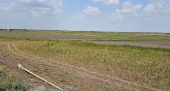 Commercial Industrial Plot 16498 Sq.Ft. For Resale In Dholera Ahmedabad 6054156