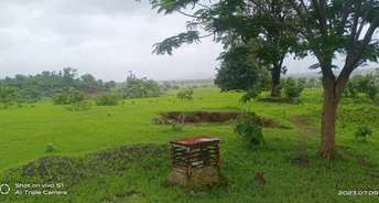  Plot For Resale in Bhadane Thane 6055000