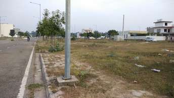  Plot For Resale in Mullanpur Chandigarh 6058238