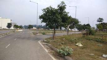  Plot For Resale in Mullanpur Chandigarh 6058638