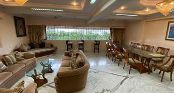 2 BHK Apartment For Rent in Bandra West Mumbai 6058631