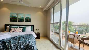 1.5 BHK Apartment For Rent in Old DLF Colony Sector 14 Gurgaon  6058931