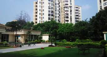 4 BHK Apartment For Resale in DLF Silver Oaks Sector 26 Gurgaon 6059506