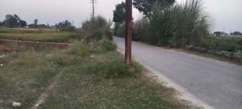 Plot For Resale in Sultanpur Road Lucknow  6059759