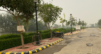 Plot For Resale in Sector 97 Faridabad 6060136