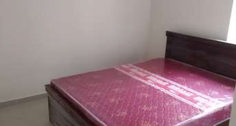 2 BHK Builder Floor For Rent in Nanakramguda Hyderabad 6060424