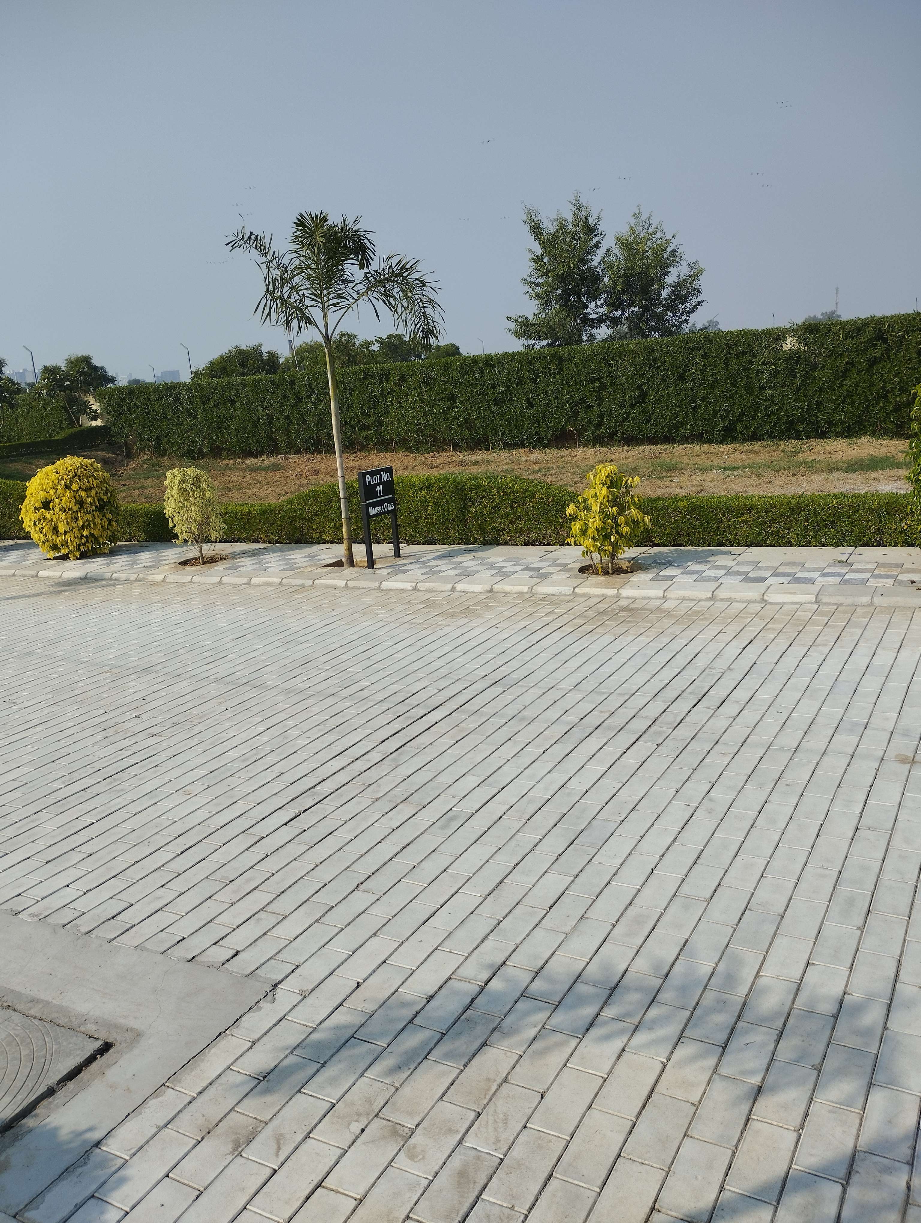  Plot For Resale in Sector 79 Faridabad 6060917