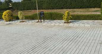  Plot For Resale in Sector 79 Faridabad 6060917