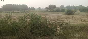 Commercial Land 2720 Sq.Ft. For Resale In Mohanlalganj Lucknow 6062052