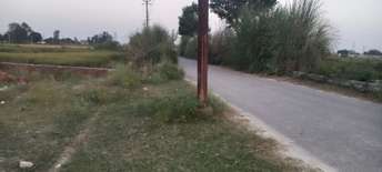  Plot For Resale in Sultanpur Road Lucknow 6062095