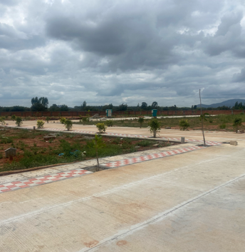 Plot For Resale in Devanahalli Bangalore  6062996