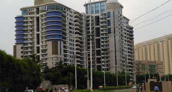 4 BHK Apartment For Resale in DLF The Icon Dlf Phase V Gurgaon 6063212