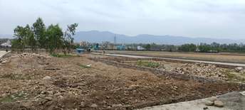 Plot For Resale in Selakui Dehradun  6064002