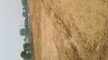  Plot For Resale in Sector 16 Greater Noida 6064672