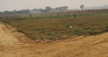  Plot For Resale in Sector 14 Palwal 6065362