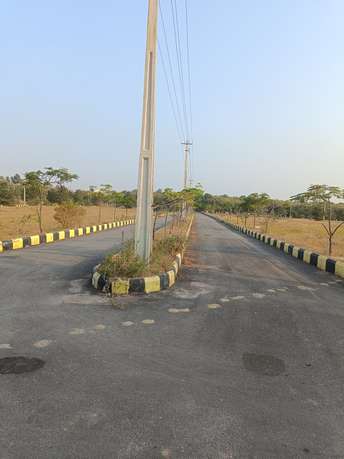  Plot For Resale in Raipole Hyderabad 6065584