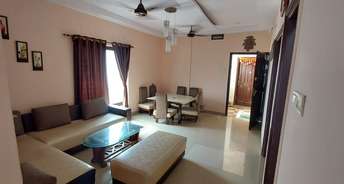 3 BHK Apartment For Rent in Bharhut Nagar Satna 6066016