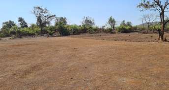 Commercial Land 200 Acre For Resale In Mangaon Raigad 6066170